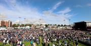 Sussex Cricket