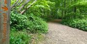 One of the wonderful woodland trails sign posted in Stanmer Park.
