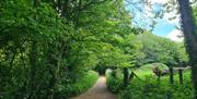 A paved walkway in Stanmer Park.