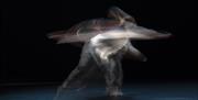 Image courtesy of dfphotography. Feast a triple Bill. Image shows a blur of movement.