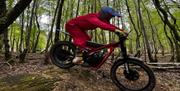 Rider on a bike on woodland terrain