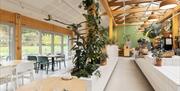 Bright and airy space inside with plants in One Kitchen