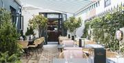 On the terrace at Burnt Orange, tables are set against a wall with greenery growing on it.