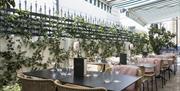 On the terrace at Burnt Orange, tables are set against a wall with greenery growing on it.