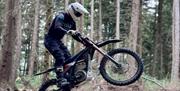 Rider on a bike on woodland terrain