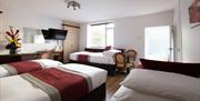 A large, spacious room at the New Steine Hotel, image shows 4 single beds with red bedspreads on them.