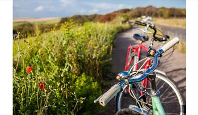 bikes parked along country road