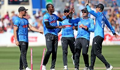 Sussex Cricket - players celebrating