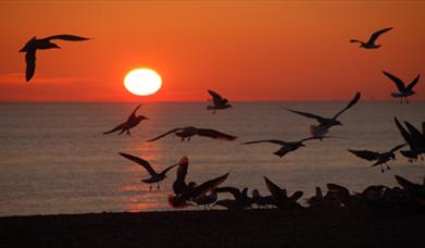 Brighton beach sunset.