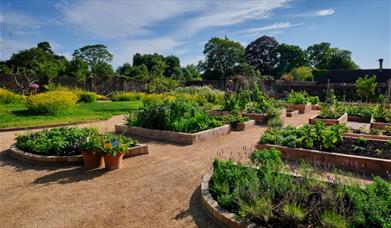 Wakehurst Children_s and Community Garden, Jim Holden © RBG Kew