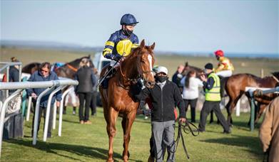 Brighton Racecourse - horse and jockey