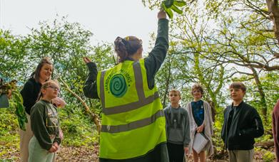 Family Mental Wellbeing Activity Walks