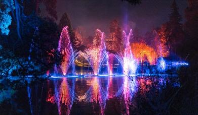 The light display at Leonardslee Lights over the lake.