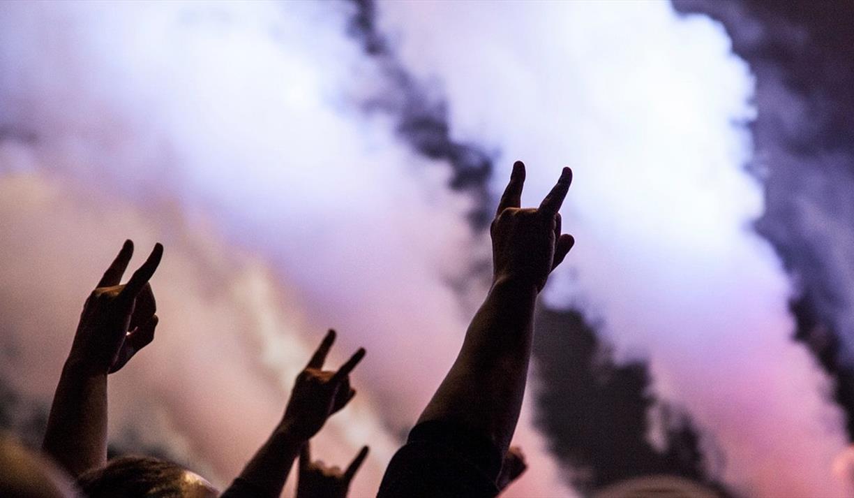 People at a concert making the sign of the horns hand gesture