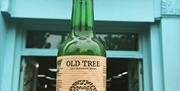Old Tree Brewery