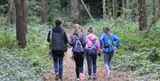 Branching Out Adventures -children walking on a trek