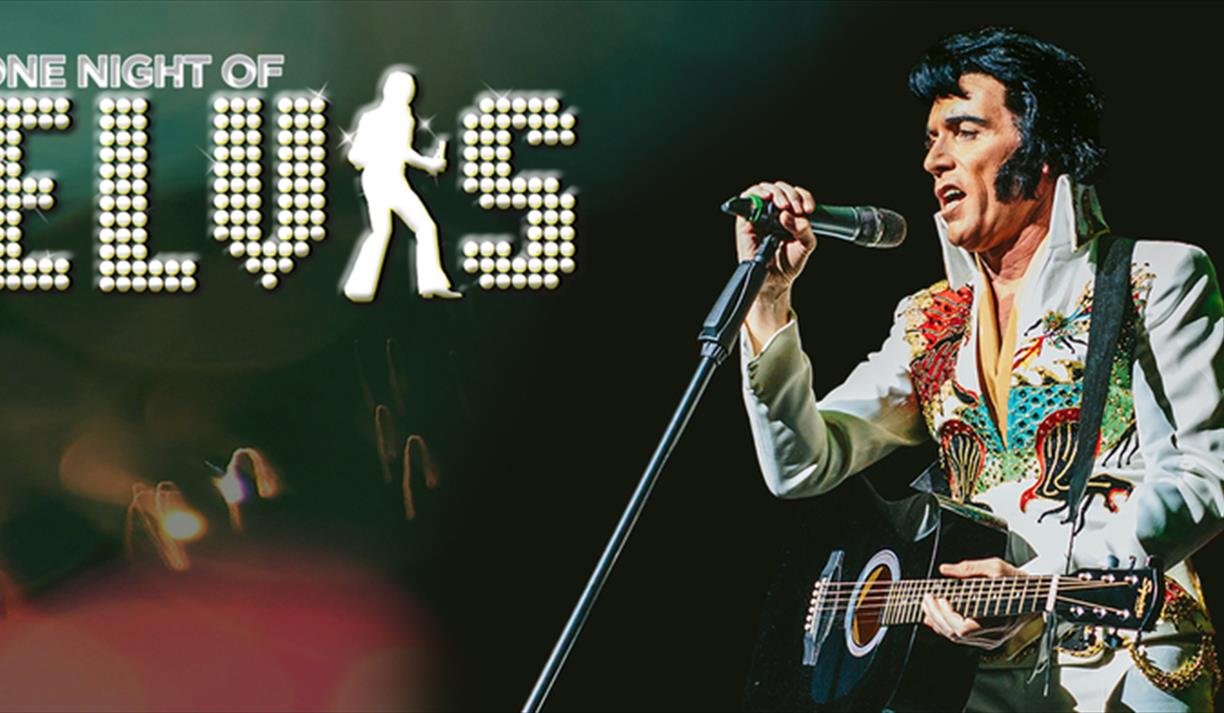 One Night of Elvis: Lee 'Memphis' King