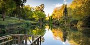Leonardslee Lakes and Gardens
