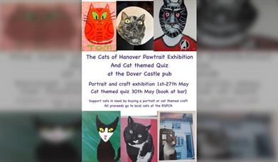 Cats of Hanover Portrait Exhibition 2024