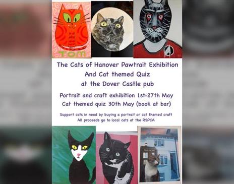 Cats of Hanover Portrait Exhibition 2024