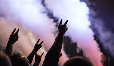 Hands in the air with pink and purple smoke
