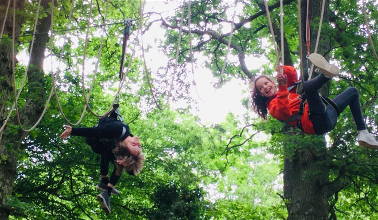 Branching Out Adventures - children on zip wire