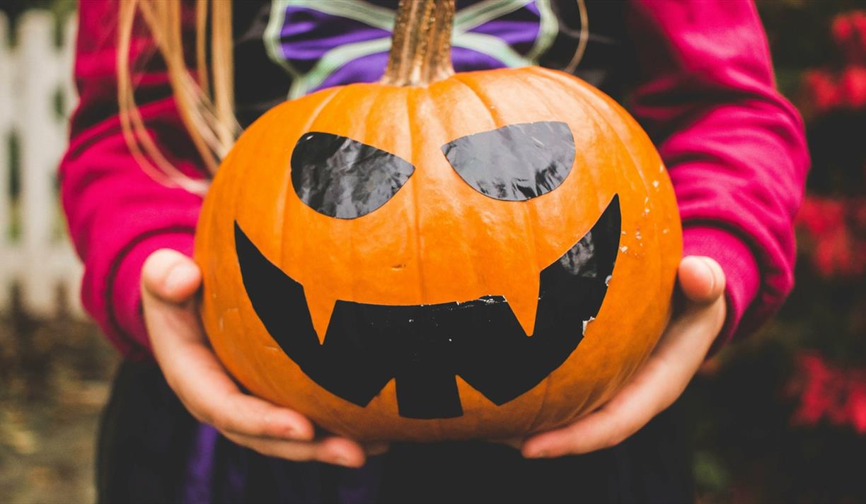 Girl in witch costume holding a smiling pumpkin Girl in witch costume holding a smiling pumpkin