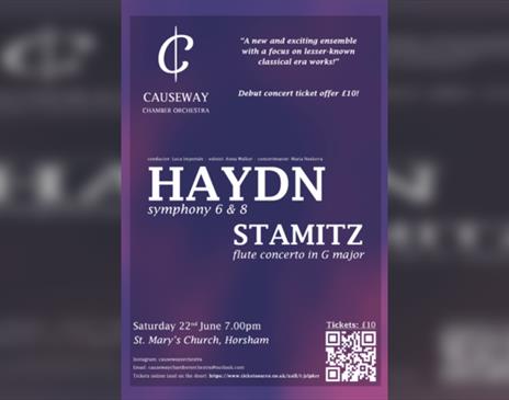 Causeway Chamber Orchestra - Haydn & Stamitz