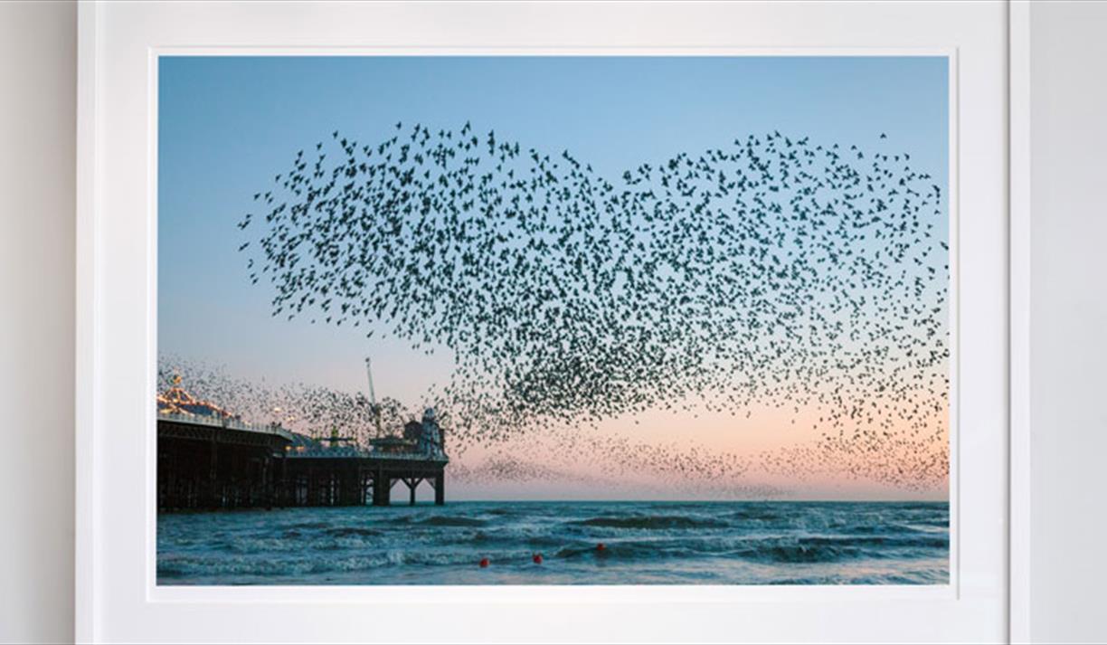 photo of a murmuration over the Pier by Finn Hopson