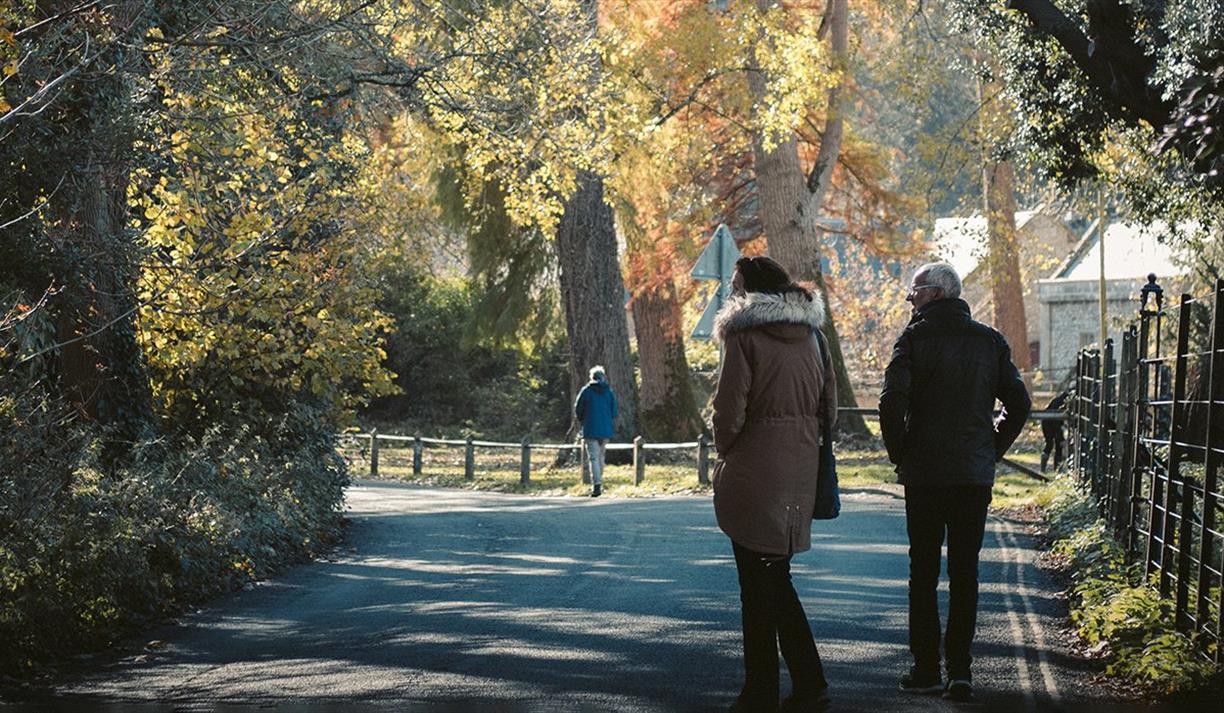 People walking in a park with trees