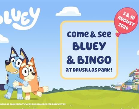 Meet Bluey & Bingo at Drusillas Park