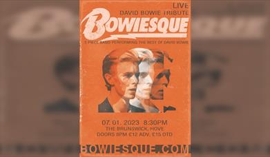 Bowiesque Live@The Brunswick