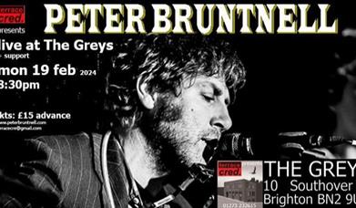 Peter Bruntnell: Live At The Greys