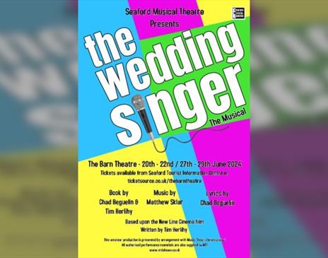 The Wedding Singer - The Musical