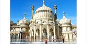 Curious About Brighton - Royal Pavilion Ice Rink