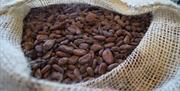 J.Cocoa cocoa beans