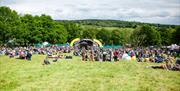 Image shows the dragonfly stage on a sunny day at Pippingford Park.