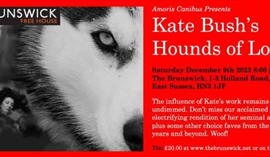 Kate Bush's Hound Of Love