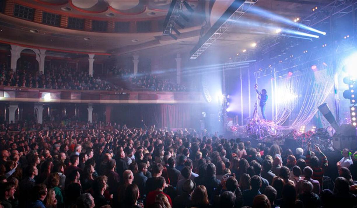 Audience at a show