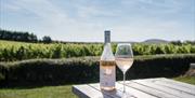 Albourne wine estate - bottle on table with view of vines