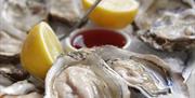 Brighton Food Tours - oysters