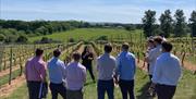 Great British Wine Tours - corporate group having a talk