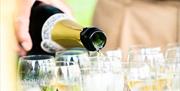 Great British Wine Tours - pouring a glass close up