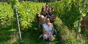 Great British Wine Tours - in the vines
