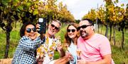 Great British Wine Tours - selfie in the vines