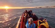 Sussex Dolphin Project - people on a boat at sunset