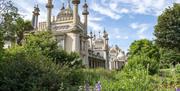 Gardens of Royal Pavilion, Brighton