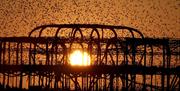 West Pier at dusk with starlings