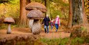 Wakehurst - giant mushroom in autumn