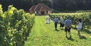 Wiston Estate - vineyard tour 
